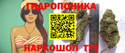 дмт Обь