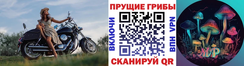 Псилоцибиновые грибы MAGIC MUSHROOMS  ссылка на мегу ТОР  Павловский Посад 