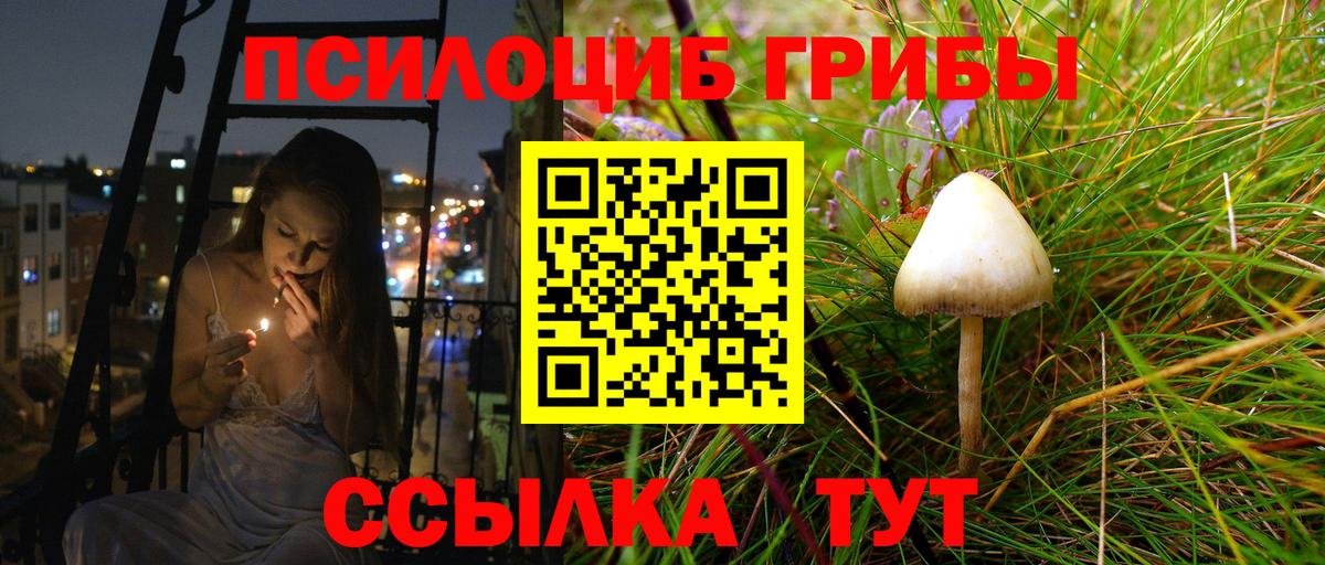 Галлюциногенные грибы Psilocybe  Вход с VPN  Павловский Посад  Галлюциногенные грибы прущие грибы 
