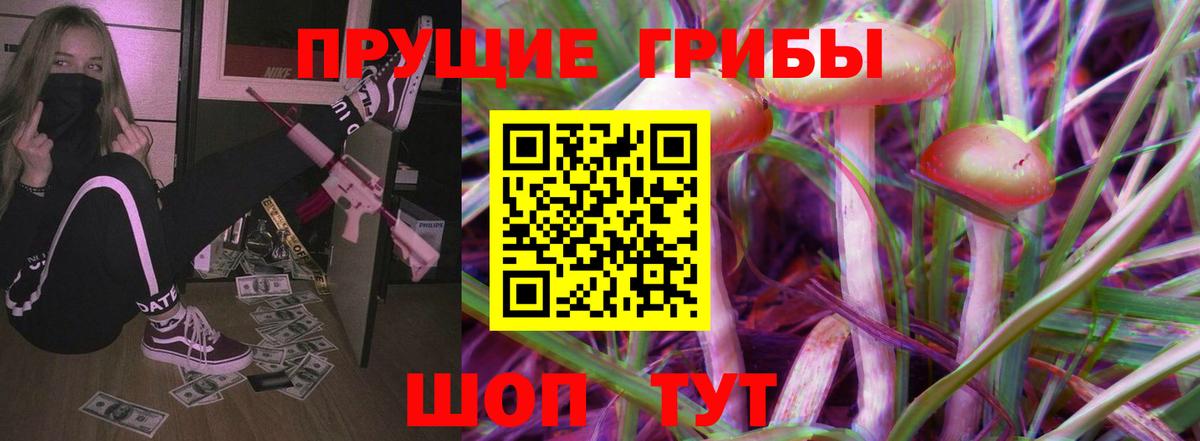 Псилоцибиновые грибы Cubensis Павловский Посад